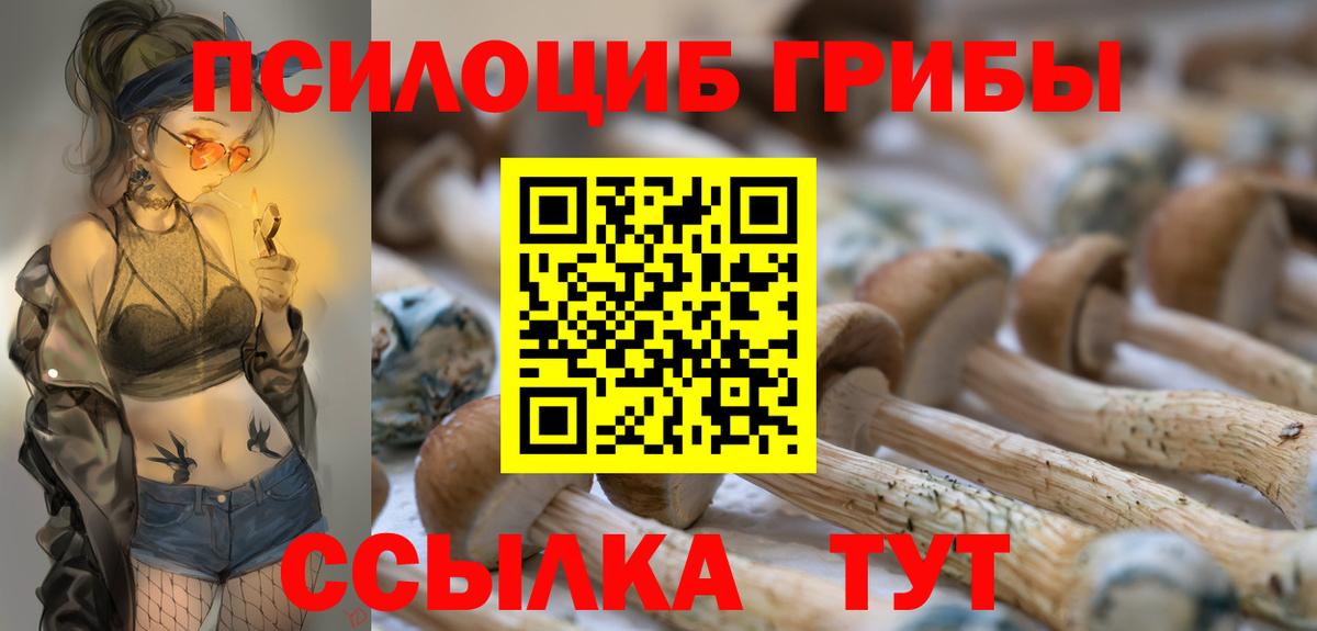 Сухой Лог  Галлюциногенные грибы Psilocybe  Псилоцибиновые грибы Psilocybine cubensis  Вход с VPN 